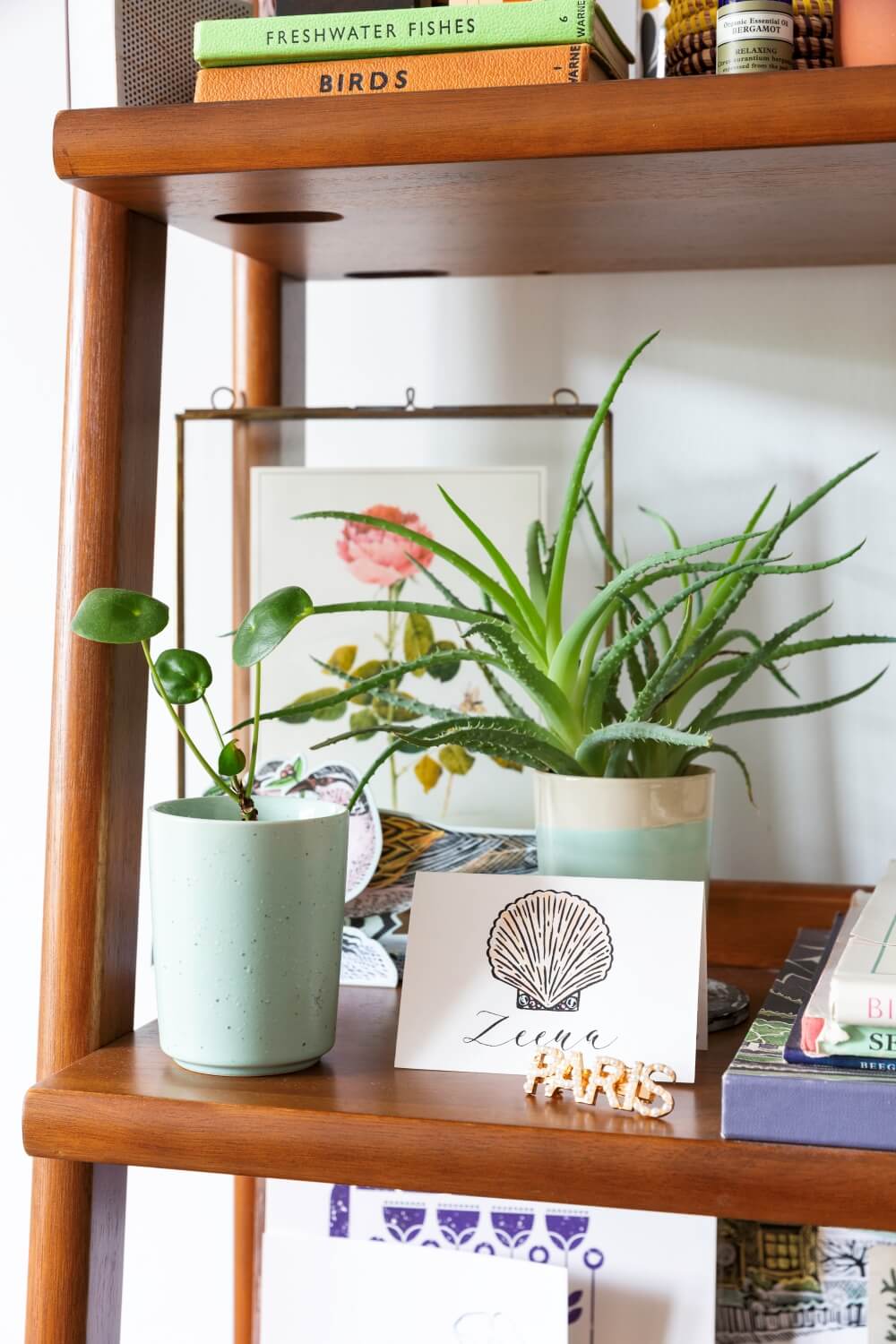 A close up of decorative items on west elm shelf. Items include indoor plants, and books