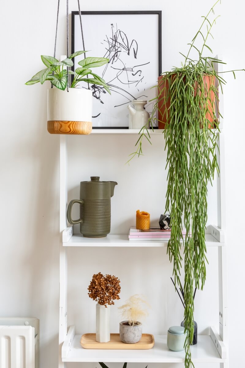 Close up image of styled bookshelf. Shelf is styled with art and live plants